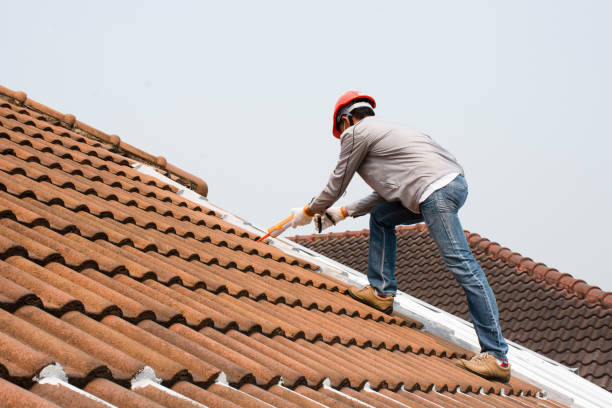 Best Rubber Roofing (EPDM, TPO)  in Alexandria Bay, NY
