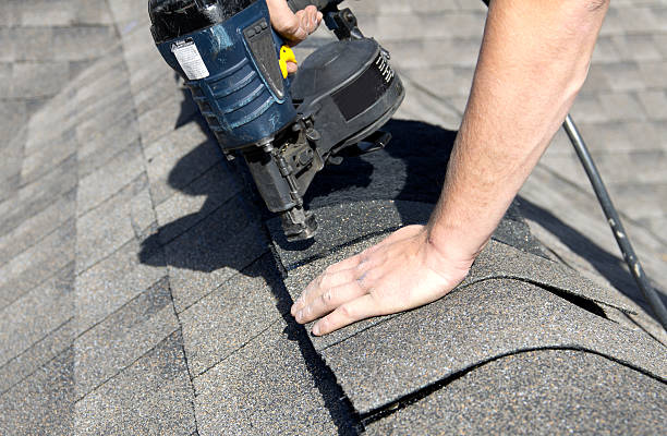 Best Roof Maintenance and Cleaning  in Alexandria Bay, NY